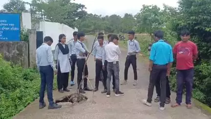 বলরামপুর: মালডি গ্রামে বলরামপুর সরকারি ITI কলেজের গেটের সামনে জরাজীর্ণ সেতু, যান চলাচলে সমস্যা #jansamasya