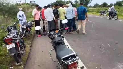 मानवत: पाथरी रोडवर यशवाडी शिवारात दुचाकी समोर अचानक रोही जनावर आल्याने दुचाकीचा अपघात दुचाकी चालक गंभीर जखमी