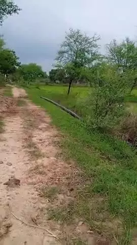 jayram post oraha atarra banda