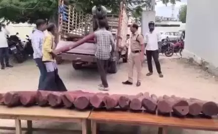 కావలిపల్లి వద్ద ఎర్రచందనం దుంగలను, ఓ కూలీని  అరెస్టు చేసిన పోలీసులు