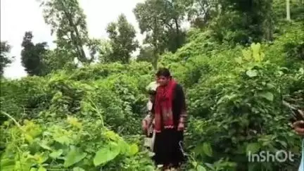 हल्द्वानी: DM के निर्देश पर पानी निकासी के उपाय के लिए ADB सिंचाई विभाग के अधिकारियों एवं पार्षद ने दमवादूंगा जंगल का किया निरीक्षण
