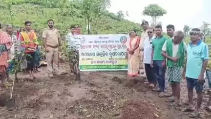 ବୌଦ୍ଧ ସଦର: ଧର୍ମ ନଗର ଗ୍ରାମ୍ୟ ଜଙ୍ଗଲରେ 76 ତମ ବନ ମହୋତ୍ସବ ପାଳିତ, ସାମୁହିକ ବୃକ୍ଷ ରୋପଣ ଅନୁଷ୍ଠିତ