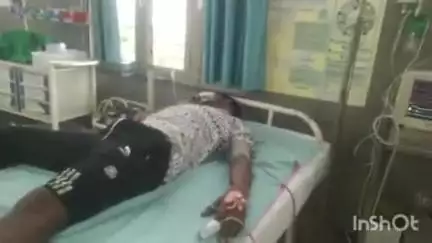 बैतूल नगर: घर में सो रहे युवक को जहरीले सांप ने काटा, ज़िला अस्पताल में चल रहा है इलाज