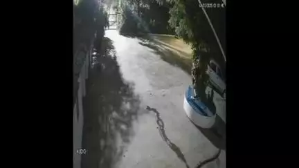 अमेठी: पत्नी के मायके में घुसकर मारपीट, चार महिलाएं घायल, घटना CCTV में कैद, घायलों का नहीं हुआ मेडिकल परीक्षण