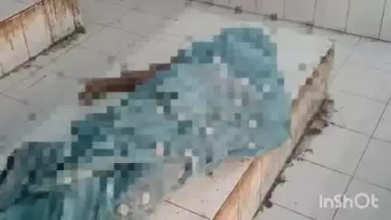 बहराइच: सोहनी बलईगांव में विवाहिता ने लगाई फांसी, इलाज के दौरान हुई मौत