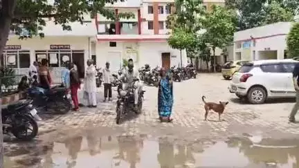 हमीरपुर: सुमेरपुर कस्बे में विधवा ने सभासद पर आरोप लगाया, कहा- फसल उजाड़कर जोत लिया खेत