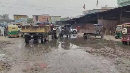 बहादुरगढ़: बहादुरगढ़ की सब्जी मंडी में कीचड़ और गंदे पानी से हालात खराब, दुर्गंध से ग्राहकों और उपभोक्ता परेशान#jansmasya