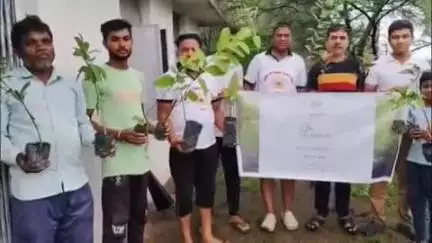 जबेरा: सार्वभौम श्री सिद्धेश्वर सहयोग संगठन ने 5s वाटिका में 200 फलदार पौधे रोपे
