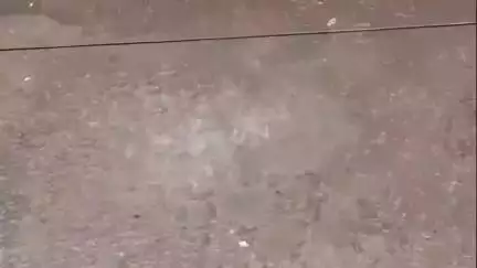 ડભોઇ: ડાંગર પકવતા ખેડૂતો ખુશખુશાલ