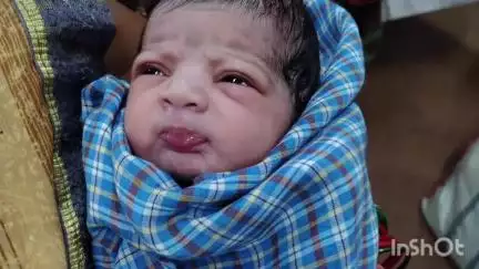 बिल्हा: ग्राम सेवार में प्रसव पीड़ा से तड़प रही महिला ने 112 वाहन में दिया बच्ची को जन्म, अस्पताल पहुंचाया गया