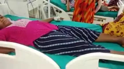 गुमला: जैरागी आवरा टोली में पोको जाडा नामक सांप युवती के पैर से लिपटा, बेहोश होने पर काटा