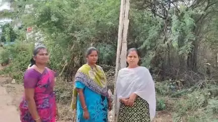 வேடசந்தூர்: பப்ளிக் ஆப் செய்தி எதிரொலியாக பாத்திமா நகரில் புதிய மின் கம்பம்