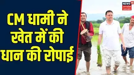 Uttarakhand के Khatima में CM Pushkar Singh Dhami ने अपने खेत में धान की रोपाई की | Breaking News