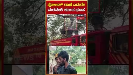 #shorts: Shivamogga | ಪೊಲೀಸ್​ ಠಾಣೆ ಎದುರೇ ಮರವೇರಿ ಕುಳಿತ ಭೂಪ | N18S