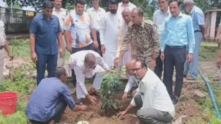 देवसर: हरियाली महोत्सव के अंतर्गत जियावन पुलिस द्वारा वृक्षारोपण कार्यक्रम जारी