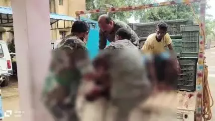कुरडेग: कुरडेग के झारेन के पास दो मोटरसाइकिल की टक्कर में तीन लोग घायल, दो सिमडेगा अस्पताल रेफर
