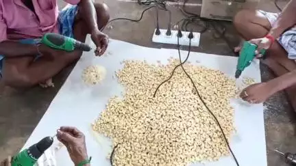 நிலக்கோட்டை: பூ சந்தையில் ரூ 12 இலட்சம் செலவில் பிரம்மாண்டமாக தயாரான டிரை புரூட் மாலைகள் -  திருச்செந்தூர் கோவில் கும்பாபிஷேக விழாவிற்கு அனுப்பப்படுகிறது
