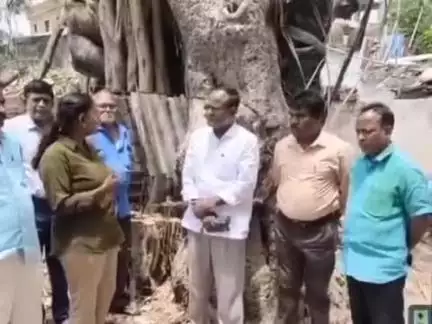 మేడ్చల్: మేడ్చల్ జిల్లాలో పురాతనమైన చెట్టు నరికివేతoపై స్పందించిన అటవీ అధికారి రేణుక