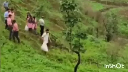 नेपानगर: 'एक पेड़ मां के नाम' अभियान के तहत नेपानगर की 3 पहाड़ियों पर रोपे गए 80 हजार बीज