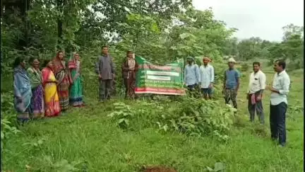 ରେଢାଖୋଲ: ପଡିଆବାହାଲ ବନାଞ୍ଚଳ ଅଧିକାରୀଙ୍କ କାର୍ଯ୍ୟାଳୟ ପକ୍ଷରୁ ବଲଣ୍ଡା,ତାଲବେଡା ,ସାନସାହୀର,ପଦାପାଲି ଠାରେ 76 ତମ ବନମହୋତ୍ସବ