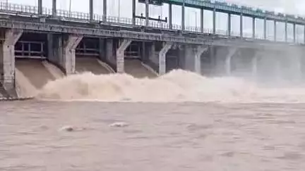 करेरा: लगातार हो रही बारिश के बाद समोहा डैम के 3 गेट खोले गए, डैम प्रबंधन ने लोगों से की नदी से दूर रहने की अपील