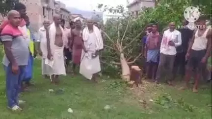 साहिबगंज: जनता घाट पर असामाजिक तत्वों ने पीपल सहित 2 वृक्षों को किया नष्ट, स्थानीय लोगों ने वन विभाग को आवेदन दिया