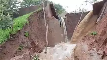 छतरपुर: ईशानगर के पास तारपेड बांध से निकली नहर हुई क्षतिग्रस्त, किसानों के खेत में भरा पानी