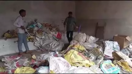 सागर: खुरई रोड पर गल्ला मंडी के पास फार्म हाउस में बोरियों के बीच निकला ज़हरीला कोबरा सांप, स्नेक कैचर ने पकड़ा