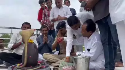 सांचोर: सांचौर स्थित स्मृति वन में भामाशाह ने लगाए 101 फलदार पौधे, पर्यावरण संरक्षण का दिया संदेश