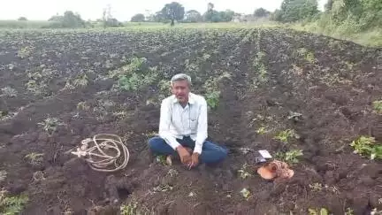 उत्तर सोलापूर: अनुदान न मिळाल्याने शिरापूर सो येथे ६ जुलै रोजी गांजा लागवड करणार : शेतकरी अनिल पाटील
