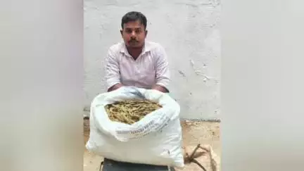 வேளச்சேரி: பெசன்ட் நகரில் கஞ்சா விற்பனை செய்த ஒடிசாவை சேர்ந்த இருவர் கைது - 10கிலோ கஞ்சா பறிமுதல்