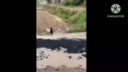 मेजा: मेजा के अछोला गांव में बारिश में सड़क निर्माण का वीडियो हुआ वायरल, ग्रामीणों ने की जांच की मांग