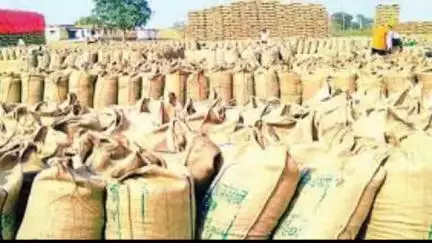 गडचिरोली: धान उत्पादक शेतकऱ्यांच्या खात्यात १०४ कोटी रुपयांचा बोनस जमा