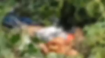 कलियासोल: कालू बथान थाना क्षेत्र के बरवाडी जंगल में युवक का शव मिलने से क्षेत्र में सनसनी