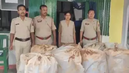 বিশালগড়: মধুপুর রাজাটিলা এলাকায় ২০ লক্ষ টাকার গাঁজা উদ্ধার