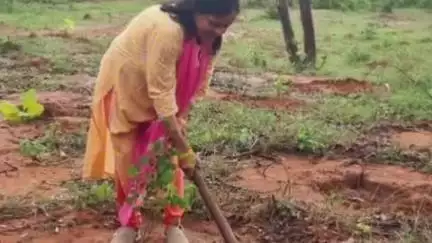 सोहागपुर: निपनिया में महिला ऑफिसर्स वाइव्स क्लब ने डीएफओ की उपस्थिति में "एक पेड़ मां के नाम" अभियान के तहत किया पौधरोपण