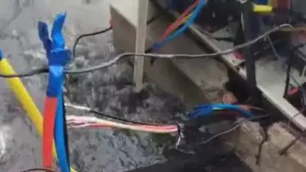 नई झूंसी बाजार में खुला पड़ा इलेक्ट्रिक बॉक्स हादसे को दे रहा है दावत, वीडियो सोशल मीडिया पर वायरल
