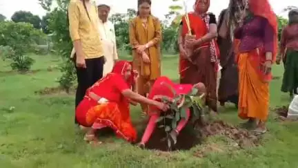 लवाण: लवाण में महिलाओं ने राजस्थानी गीत गाते हुए हरयालों राजस्थान कार्यक्रम के तहत पौधरोपण किया