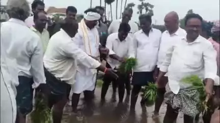 గురువిందపల్లిలో వరి నాట్లు వేసిన ఎమ్మెల్యే కుమార్ రాజా