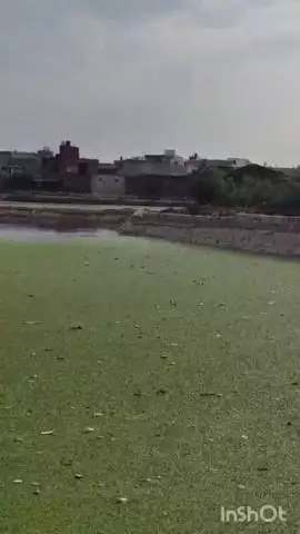 भरतपुर: भरतपुर जिला कलेक्टर ने शहर में चल रहे विकास कार्यों का किया निरीक्षण