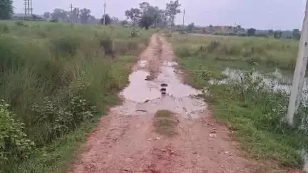 মানবাজার ১: মানবাজারের কোথায় হচ্ছে মহকুমা আদালত?চুড়ান্ত হয়ে গেলো প্রশাসনিক সিদ্ধান্ত