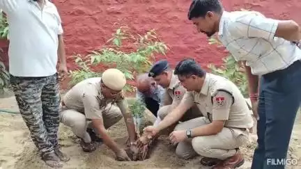सुजानगढ़: सुजानगढ़ में एएसपी और डीएसपी ने किया पौधारोपण