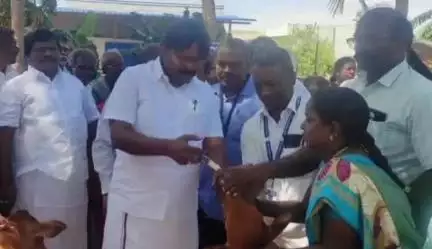பெரம்பலூர்: வேலூரில் சிறப்பு கால்நடை மருத்துவ முகாம், எம்எல்ஏ பிரபாகரன் தொடங்கி வைத்தார்