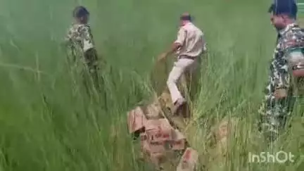 मांझा: मांझा थाने की पुलिस ने झाझवा चवर में छापेमारी कर 207 लीटर शराब बरामद की: थाना अध्यक्ष