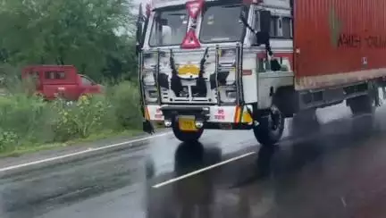 बदरवास: सुमैला में सड़क किनारे बैठी गाय को अज्ञात वाहन ने रौंदा, मौके पर ही दर्दनाक मौत