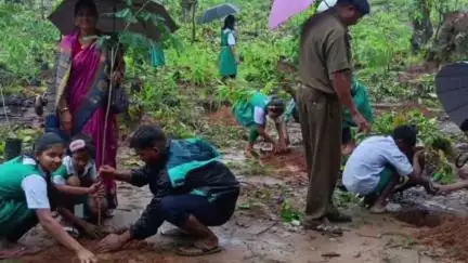 ଦେବଗଡ: ନିସାବିରା ଗ୍ରାମରେ ବନମହୋତ୍ସବ ଓ ୨୦୦ ରୁ ଅଧିକ ବୃକ୍ଷରୋପଣ