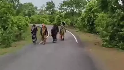 पवई: लकड़ी बेचकर परिवार चलाने को मजबूर आदिवासी,  भीतरी मुटमूरु पंचायत की महिलाओं ने सच्चाई की खोली पोल #jansamaya