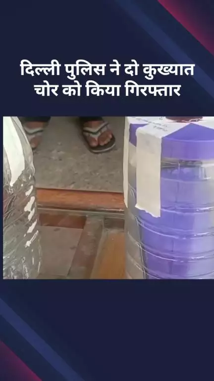 सरस्वती विहार: बाहरी जिला पुलिस ने बड़ी कार्रवाई करते हुए दो कुख्यात चोरों को किया गिरफ्तार