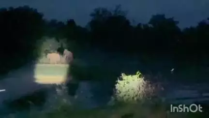 उदयपुर धरमजयगढ़: 17 हाथियों का दल पहुंचा कूड़ेकेला, ग्रामीणों और किसानों में दहशत