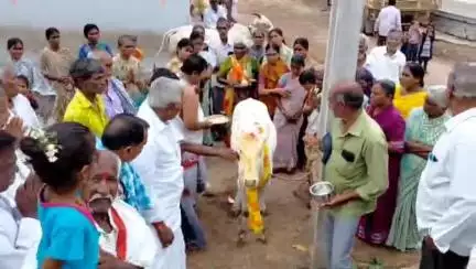 తరిగోపుల గ్రామంలో గోపూజతో ఘనంగా ముగిసిన తిరుమల తిరుపతి దేవస్థాన ధార్మిక కార్యక్రమాలు